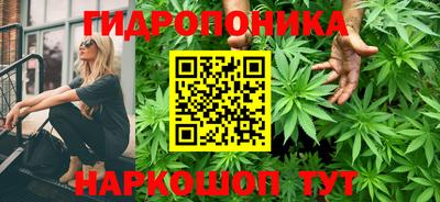 индика Краснокаменск
