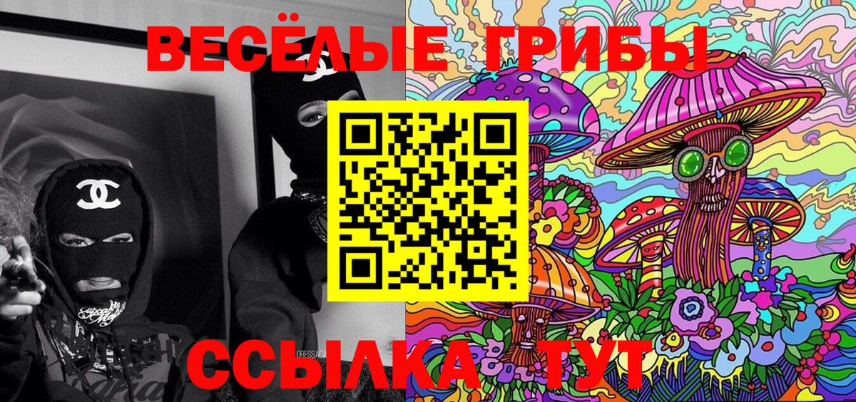 Псилоцибиновые грибы GOLDEN TEACHER Верхний Уфалей